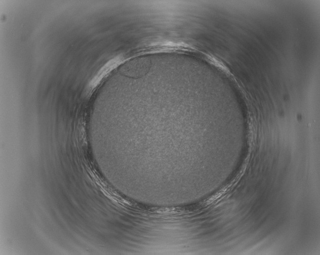 X0000057091259200509120910