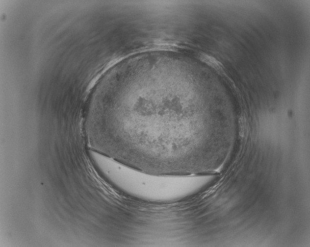 X0000057091260200509120910