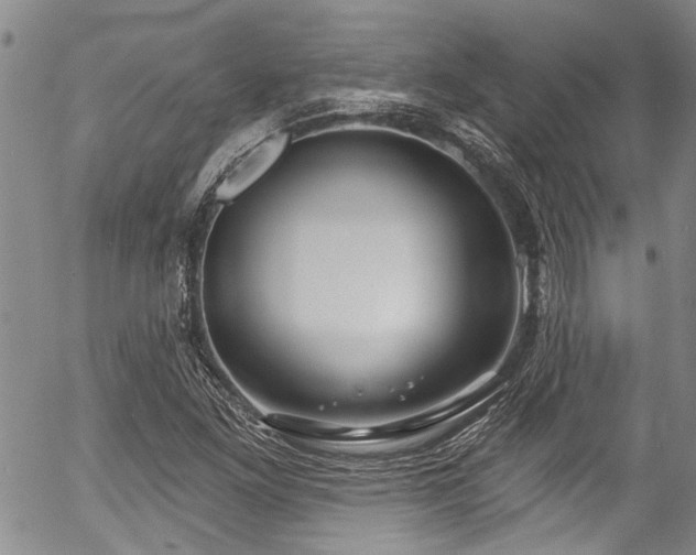 X0000057091261200509120910