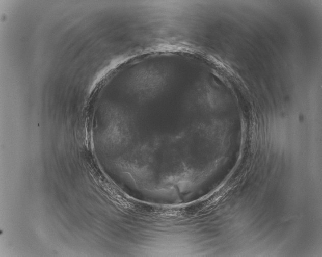 X0000057091262200509120910