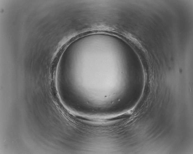 X0000057091264200509120910