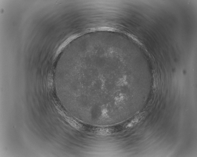 X0000057091266200509120910