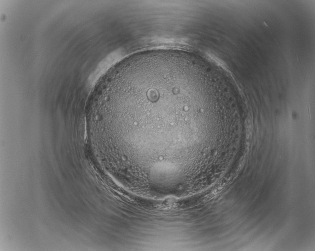 X0000057091267200509120910