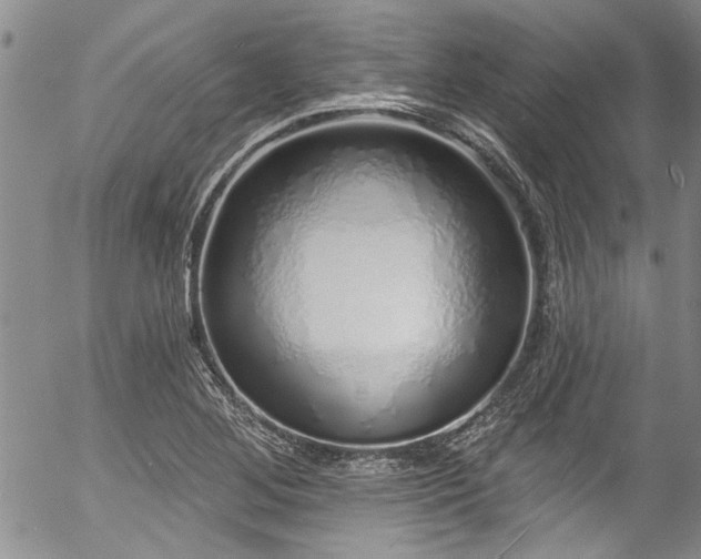 X0000057091268200509120910