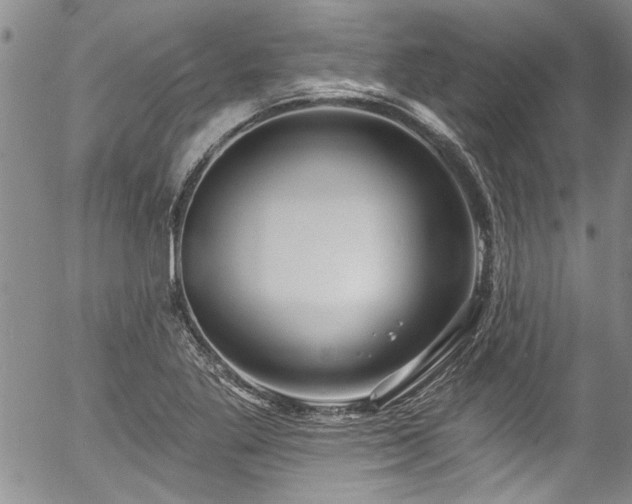 X0000057091269200509120910