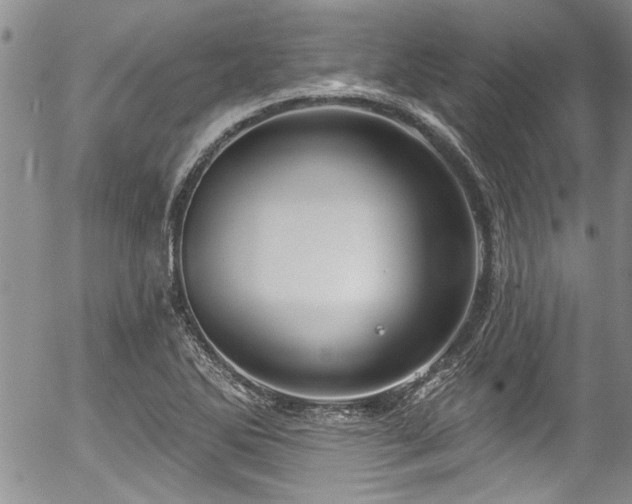 X0000057091270200509120910