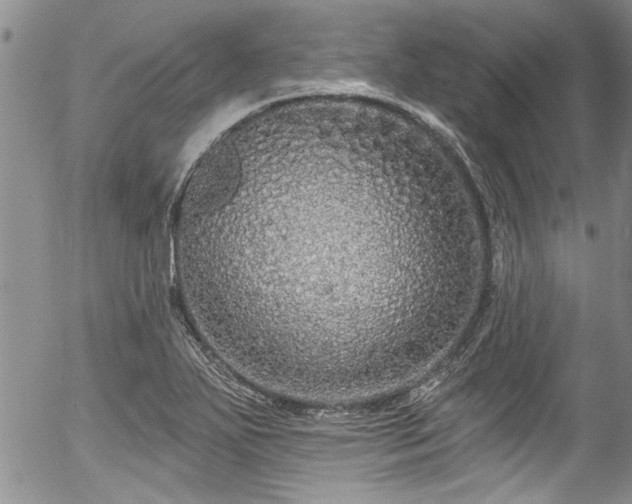 X0000057091271200509120910