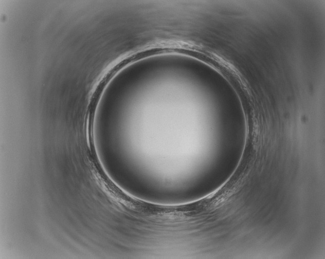 X0000057091272200509120910