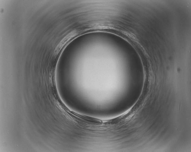 X0000057091273200509120910