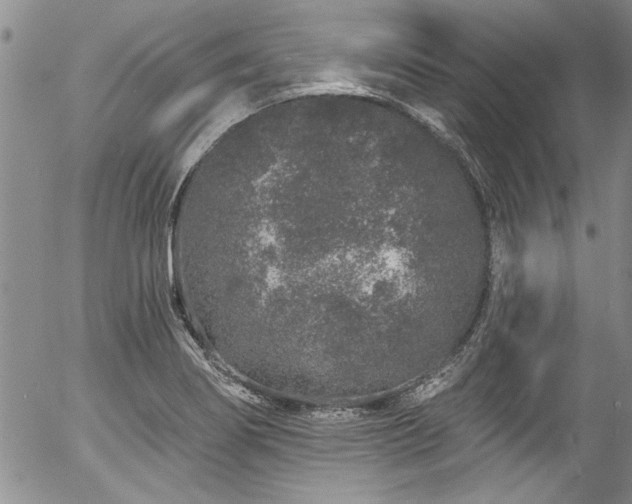 X0000057091274200509120910