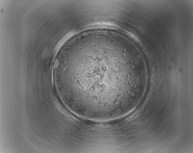 X0000057091275200509120910