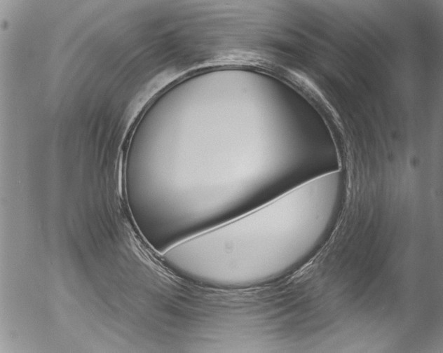 X0000057091276200509120910