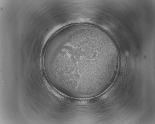 X0000057091278200509120910