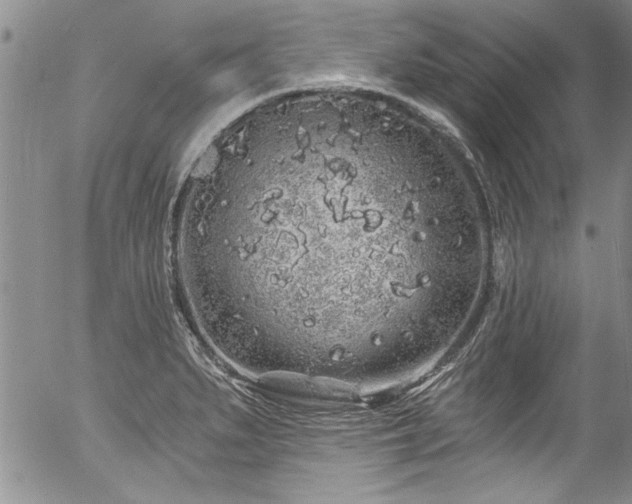 X0000057091279200509120910