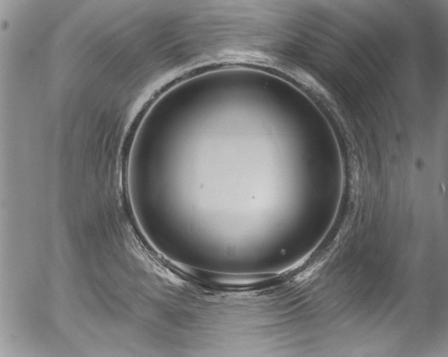 X0000057091280200509120910