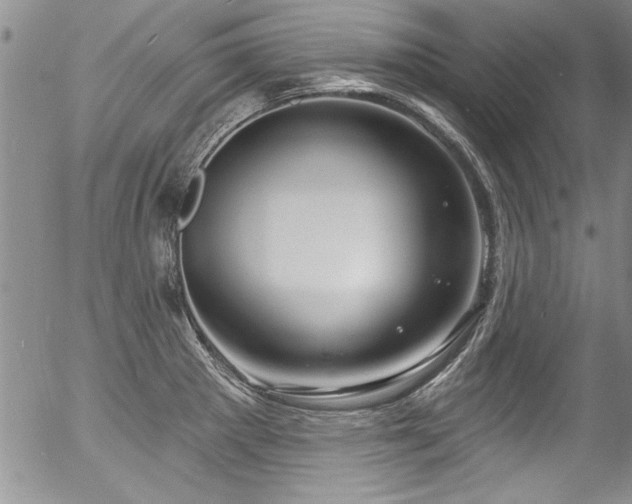 X0000057091281200509120910