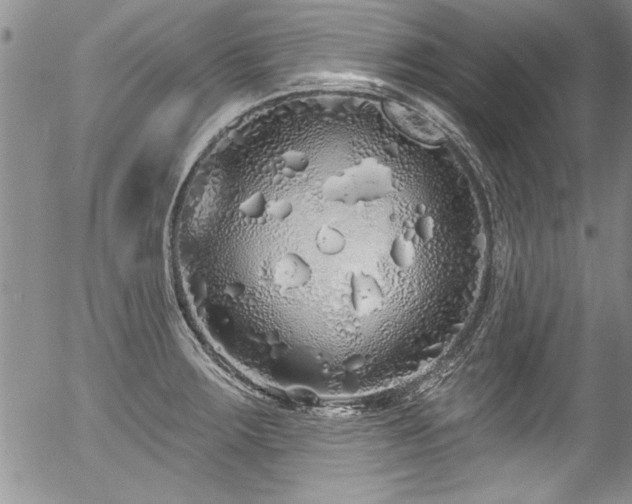 X0000057091283200509120910