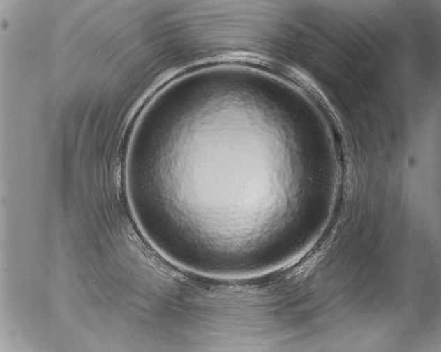 X0000057091284200509120910