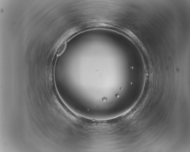 X0000057091285200509120910