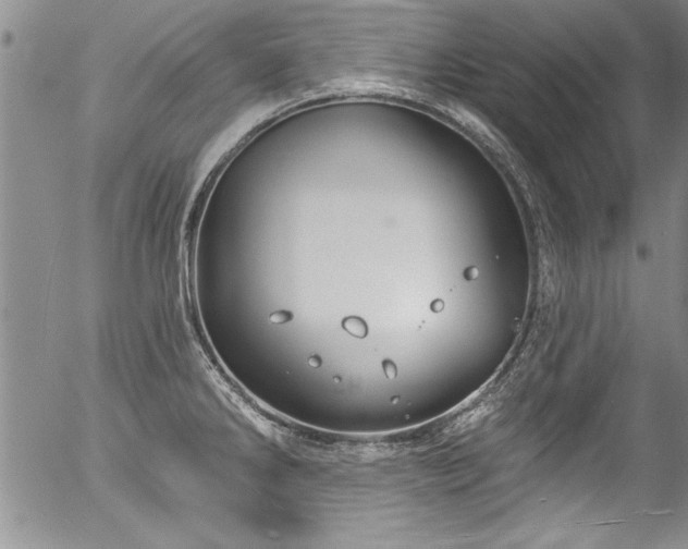 X0000057091286200509120910