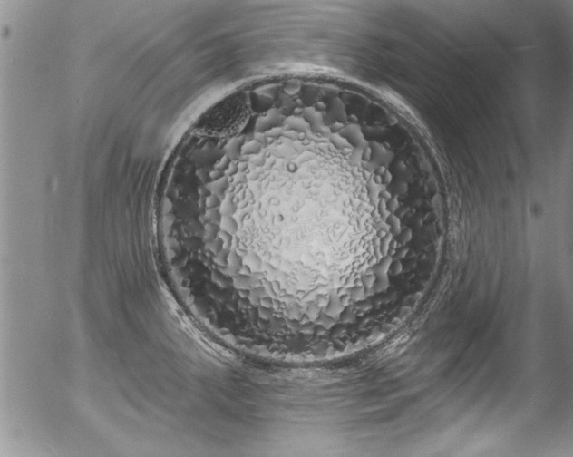 X0000057091287200509120910