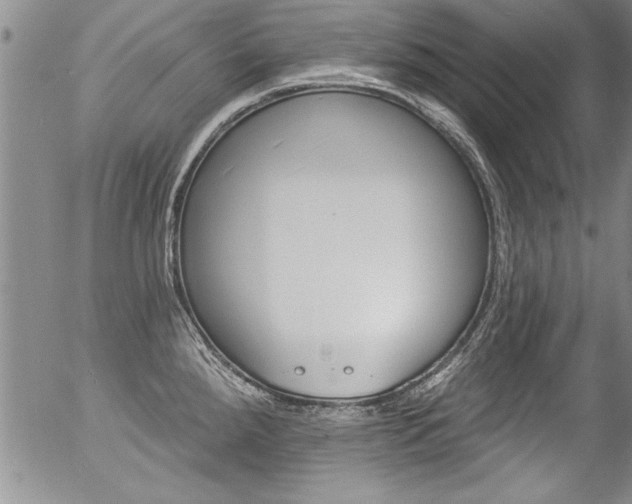 X0000057091288200509120909