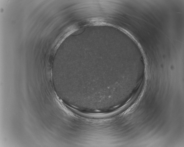 X0000057091289200509120909