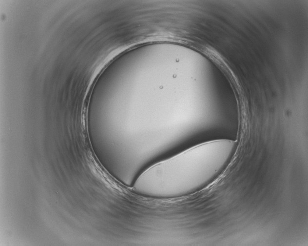 X0000057091292200509120909