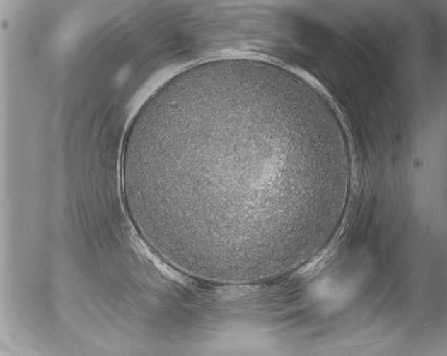 X0000057091294200509120909