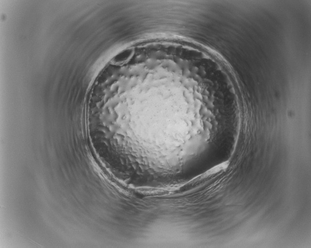 X0000057091295200509120909