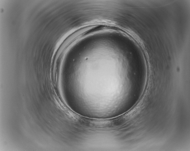 X0000057091296200509120909