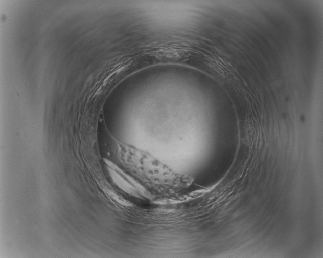 X0000057091297200509120909