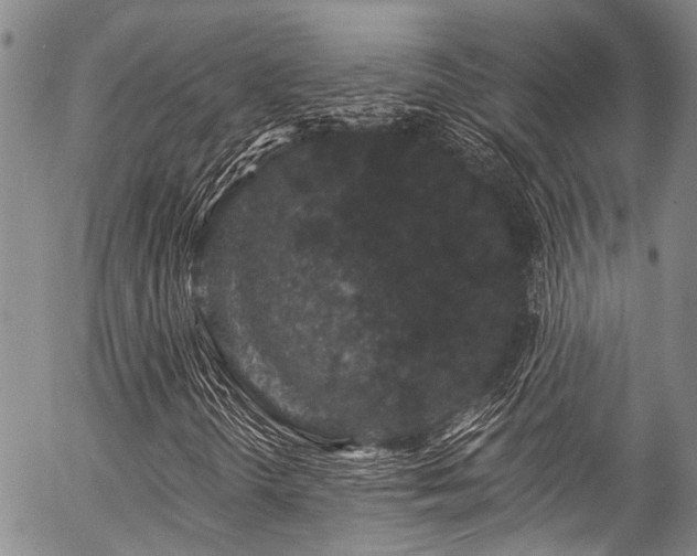 X0000057091298200509120909