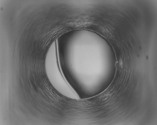 X0000057091300200509120909