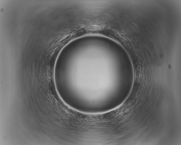 X0000057091301200509120909