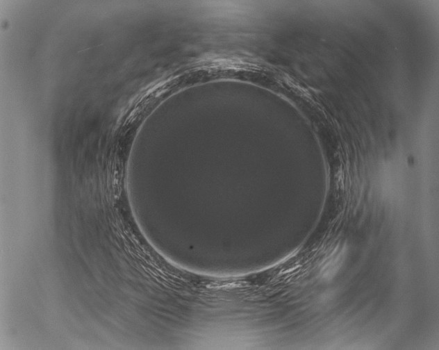 X0000057091303200509120909