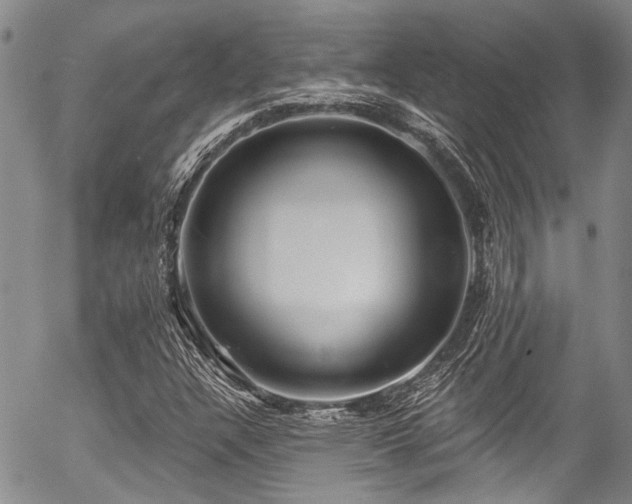 X0000057091304200509120909