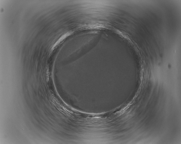 X0000057091306200509120909