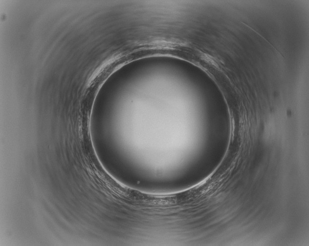 X0000057091307200509120909