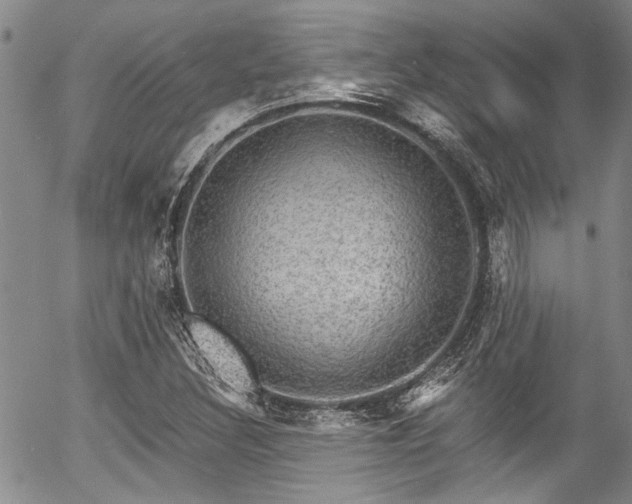 X0000057091308200509120909