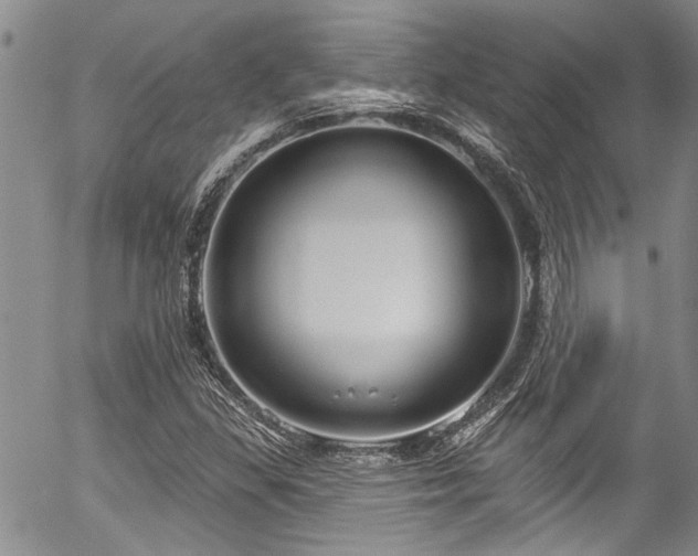 X0000057091309200509120909