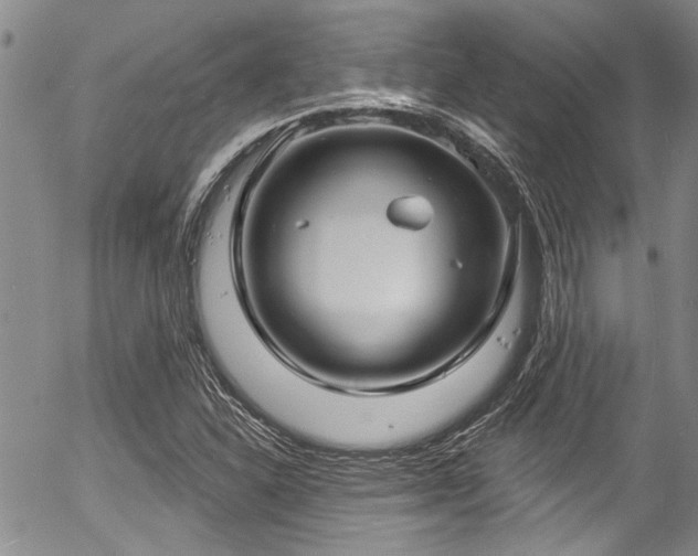 X0000057091310200509120909