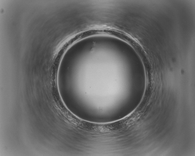 X0000057091311200509120909