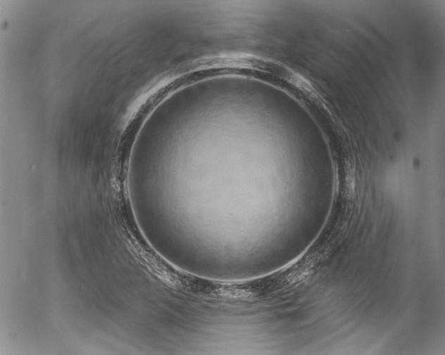 X0000057091312200509120909