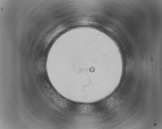 X0000057091314200509120909