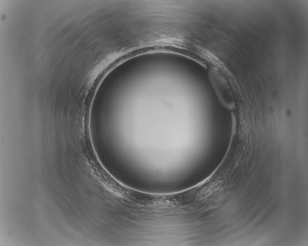 X0000057091316200509120909