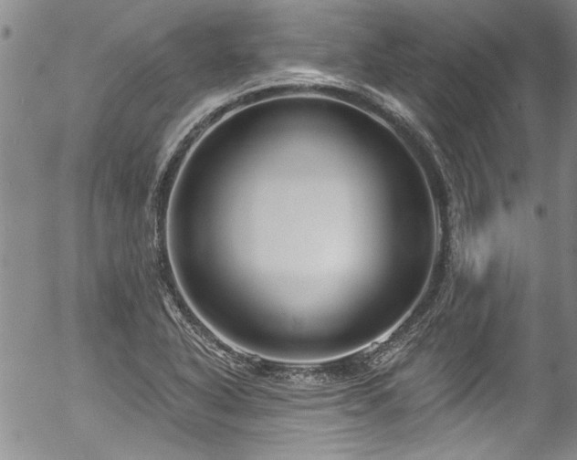 X0000057091318200509120909