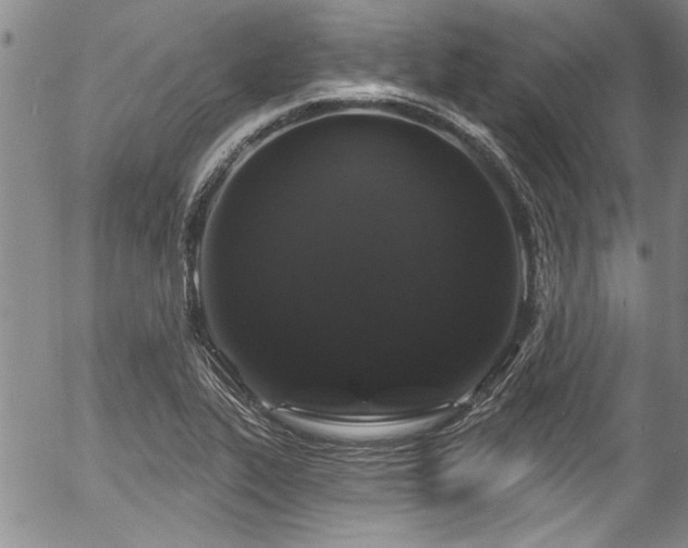 X0000057091319200509120909