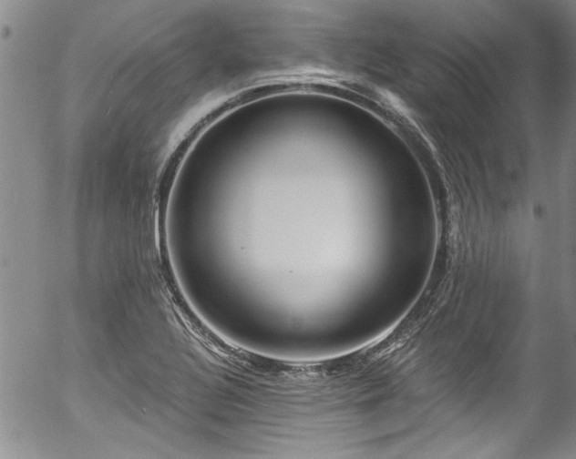 X0000057091320200509120909