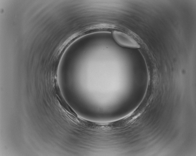 X0000057091321200509120909